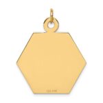14k 26.5mm Hexagon Red Enameled Medical Jewelry Pendant - Image 4