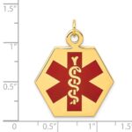 14k 26.5mm Hexagon Red Enameled Medical Jewelry Pendant - Image 3