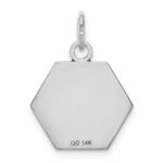 14k White Gold 15mm Hexagon Red Enameled Medical Jewelry Pendant - Image 4