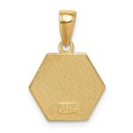 14k 14mm Hexagon Enameled Textured Back Medical Disc Pendant - Image 4