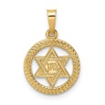 14k Polished and Textured Solid Star of David in Round Frame Pendant