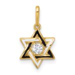 14k Polished Black and White Enameled and CZ Star of David Charm / Pendant